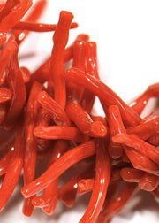 Collection of Red coral mediterranean jewelry from Italy | buy at Musem-Shop.it