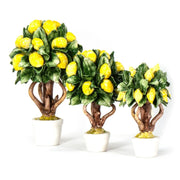Tre dimensioni di alberi di limoni in porcellana di Capodimonte, da piccolo a grande, mostrati insieme per confronto.