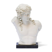 Dionisio torso marble statue