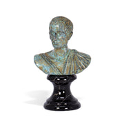 Julius Caesar Bronze Head on a marble base