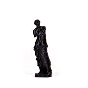 Venus de Milo 3D Printed black small